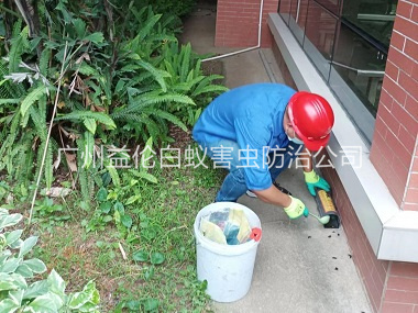 番禺施药灭鼠工程